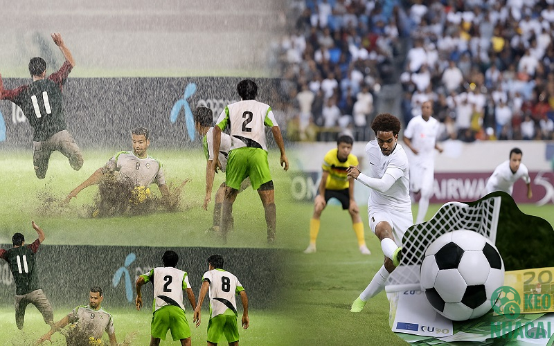 Ảnh hưởng từ thời tiết & sân bãi