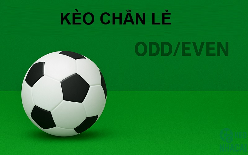 Cược chẵn lẻ