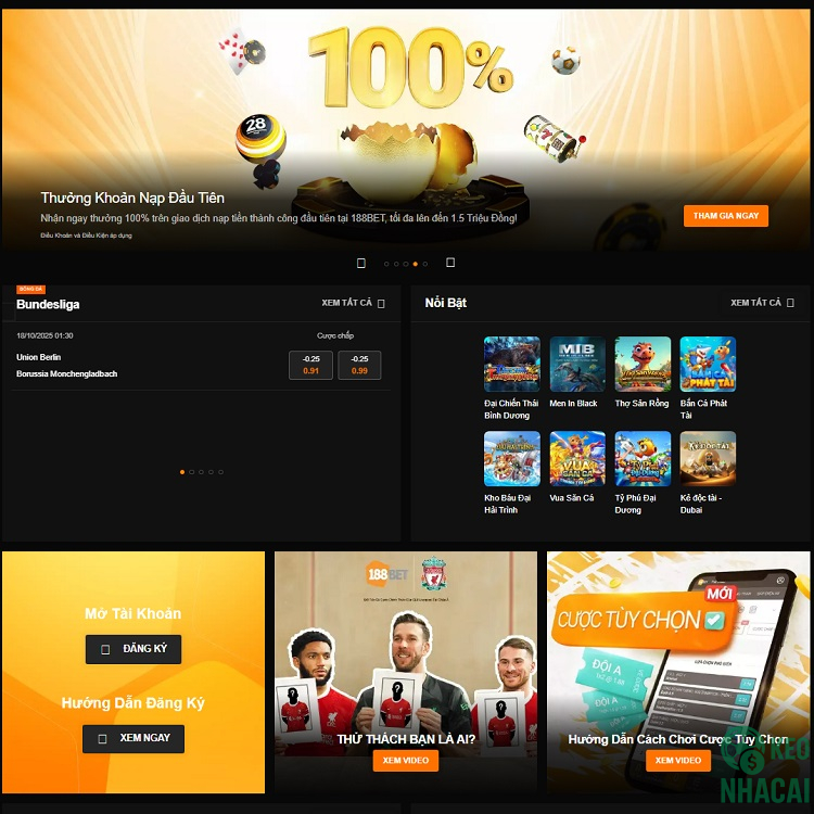 Giao diện chuyên nghiệp