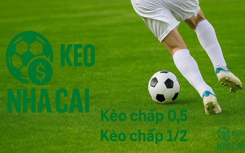 Kèo cửa trên chấp nửa