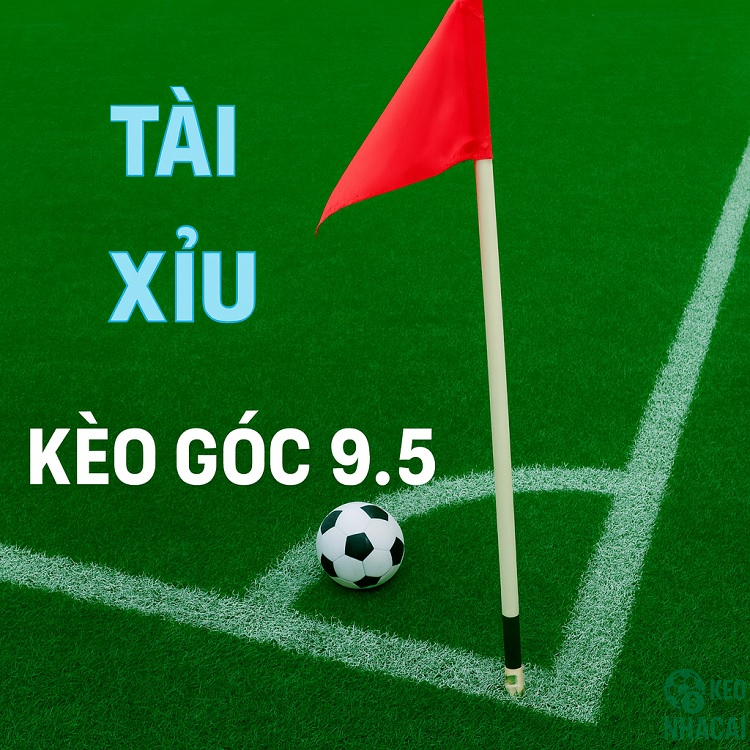 Kèo góc 9.5 là gì?