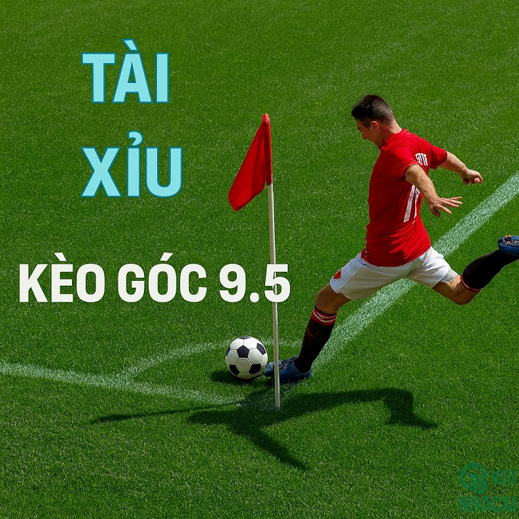 Lợi ích khi tham gia