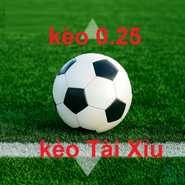 Mối liên hệ giữa kèo 0.25 và Tài Xỉu