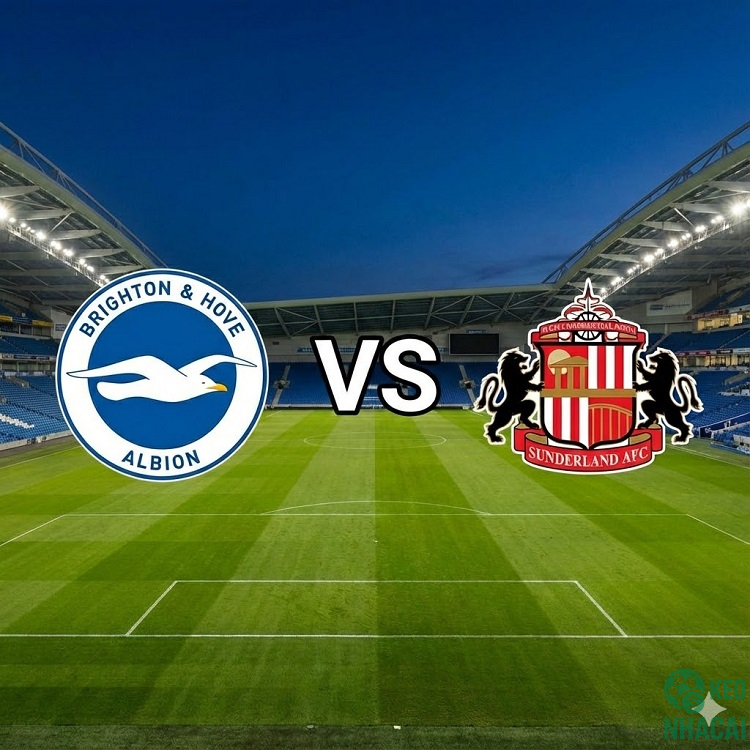 Soi kèo Brighton vs Sunderland 22h00