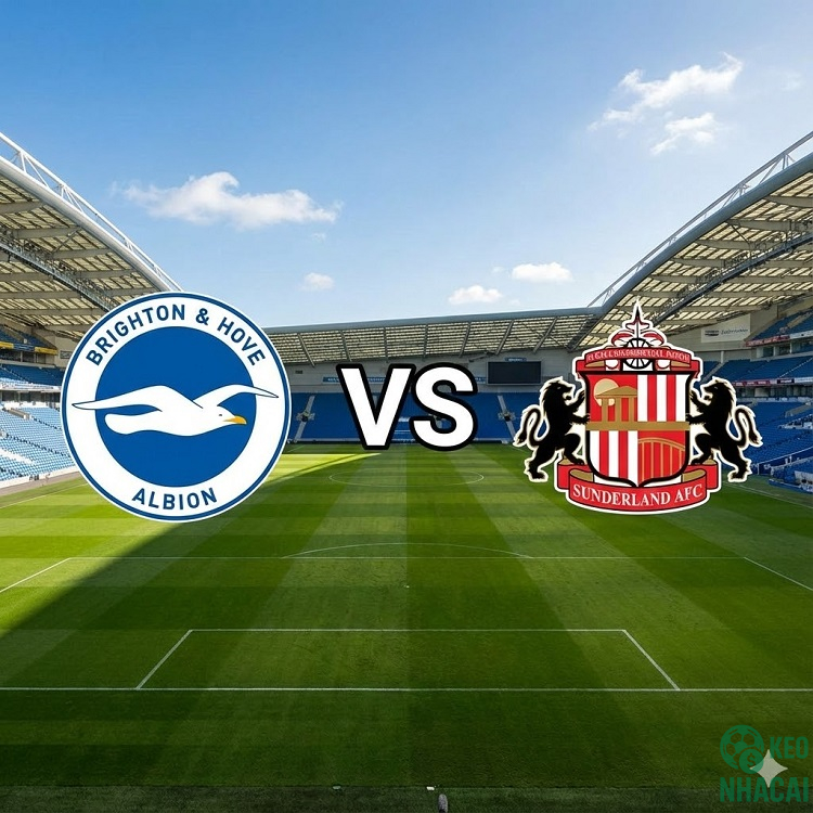 Soi kèo Brighton vs Sunderland