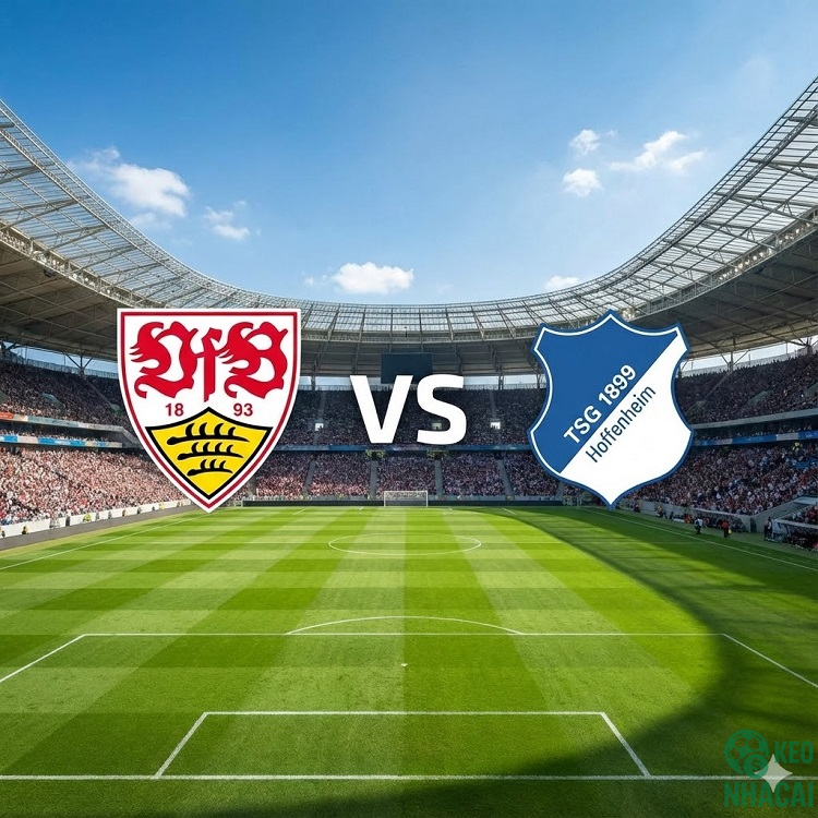 Soi kèo Stuttgart vs Hoffenheim