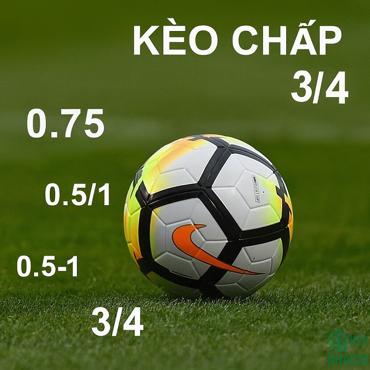 Tổng quan về kèo cược 0.75