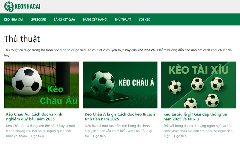 Chuyên mục hướng dẫn cho người mới