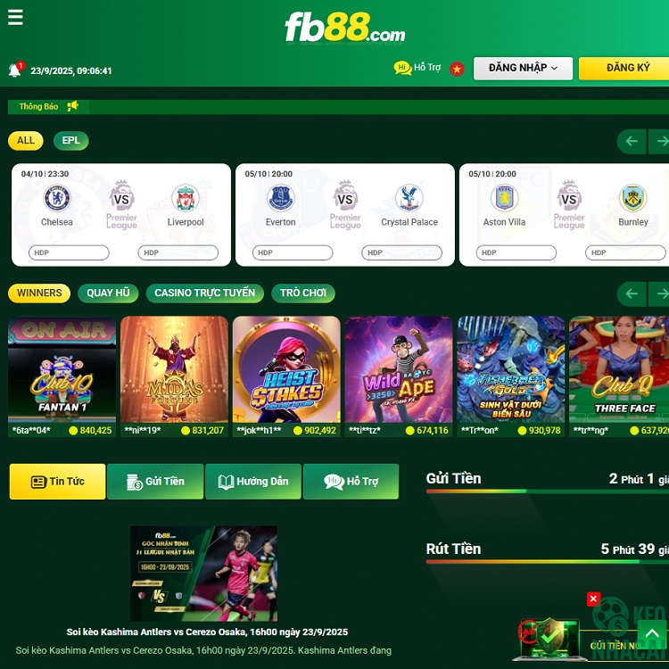 hoạt động lâu năm ở thị trường Việt